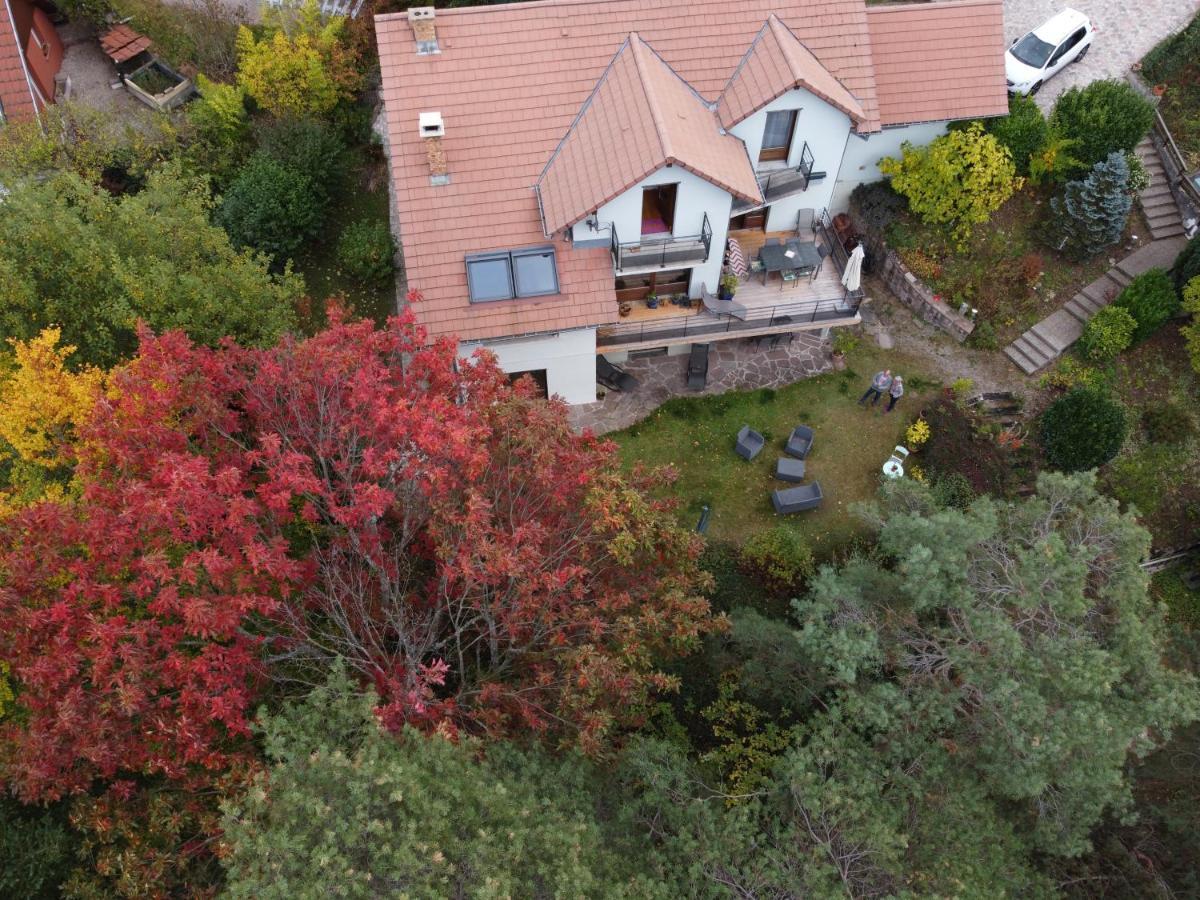 Chene Rouge Villa Lapoutroie Exterior foto